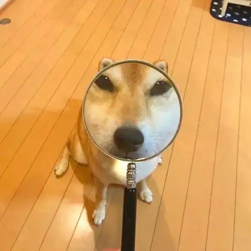 憨憨的情侣头像有哪些