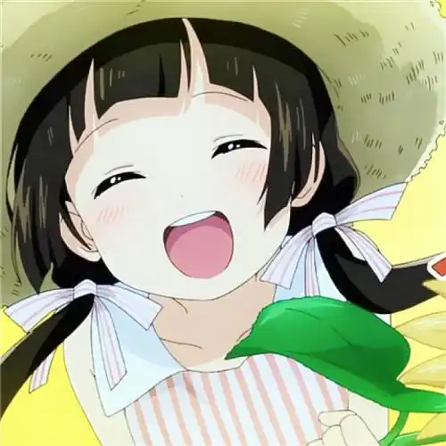 pycharm每次打开项目都需要配置解释器和安装库问题