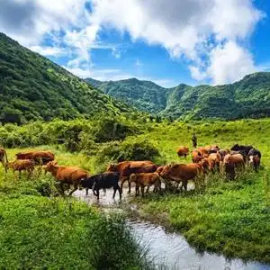 过年头像女生2025仙女山