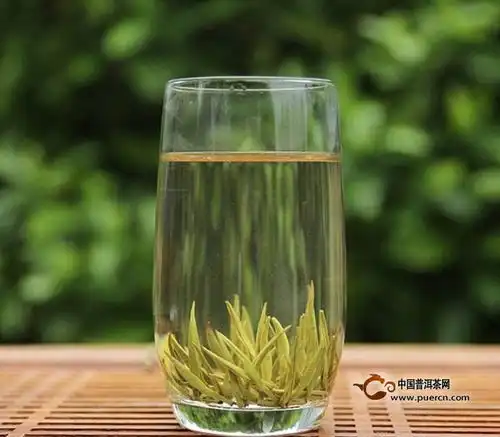 美女茶白毫银针适合哪些人群喝