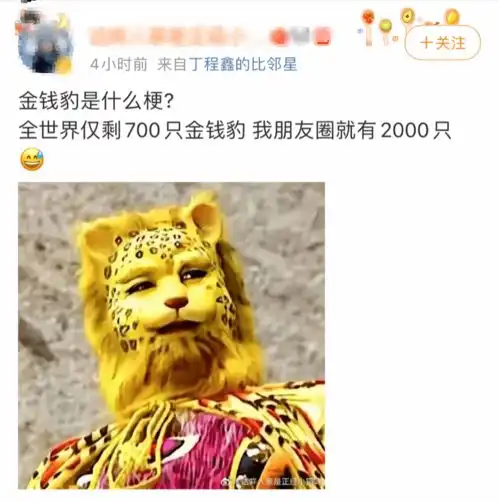 2022第一梗金钱豹富,被网友玩明白了