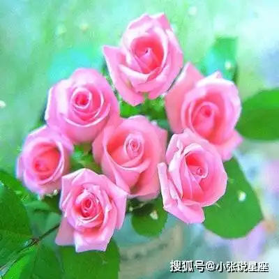 天生是美女的三大生肖女,相貌出众气质佳,越老越有魅力