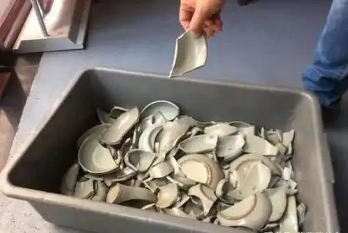 餐厅餐具喂宠物涉事餐具已报损女子用餐厅餐具喂宠物餐厅餐具喂宠物涉事餐具已报损