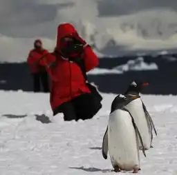 沙龙招募丨穿越南极圈,在世界的另一头喜迎新春