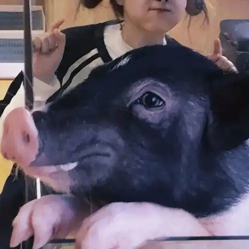 欧美沙雕头像ins女生花