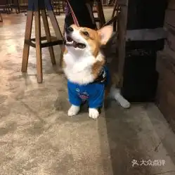 电话,地址,价格,营业时间