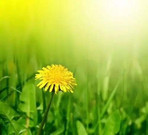 后半生,致自己