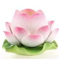 佛的头像微信头像女生荷