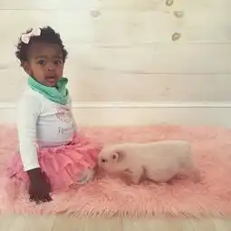 头像女生宠物小女孩