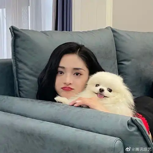 可媚可媚最新消息,新闻,图片,视频聚合阅读新浪网