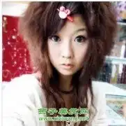 专题