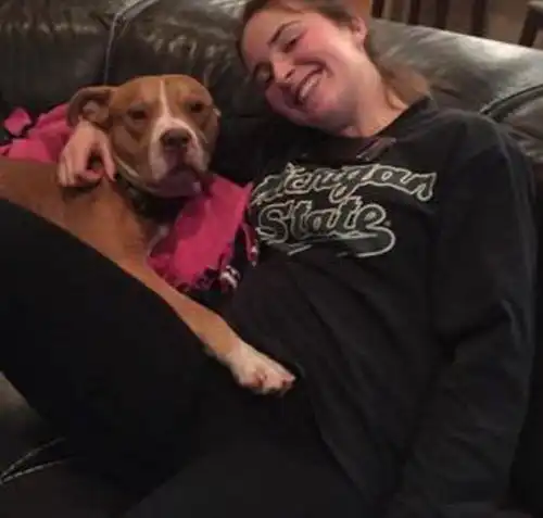 大冬天狗狗被主人抛弃,体型消瘦眼神绝望,好心女子伸出援手