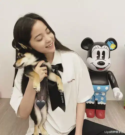 别再跟风穿t恤了,今年巨流行的短袖长这样