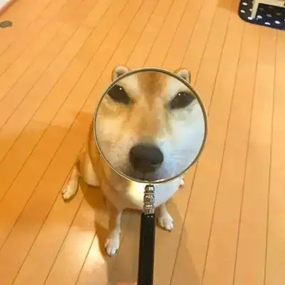 奇葩头像女生说狗