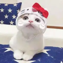 求这张图的情头