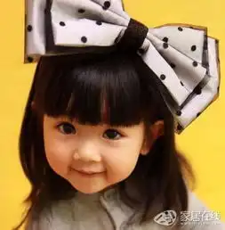 萝莉图越多越好......