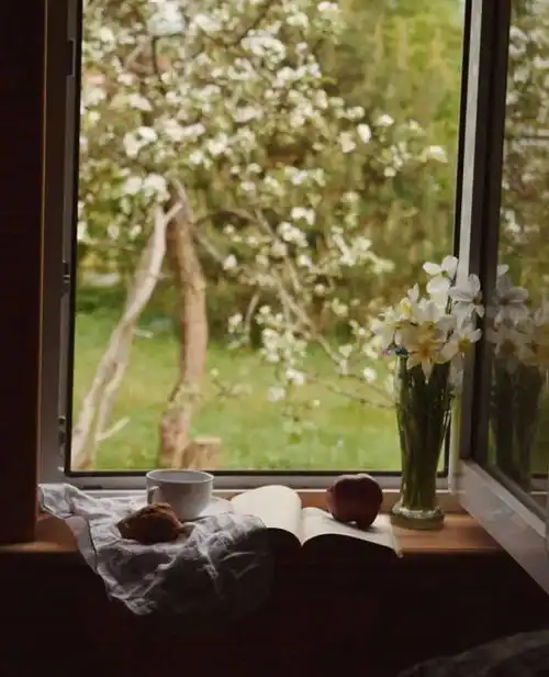 97年小仙女隐居森林,刺绣做甜品,治愈无数网友太羡慕了