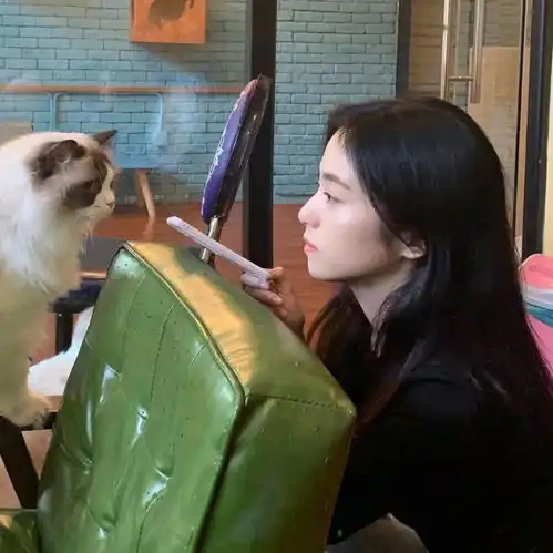 美好的微信头像,换一张吧