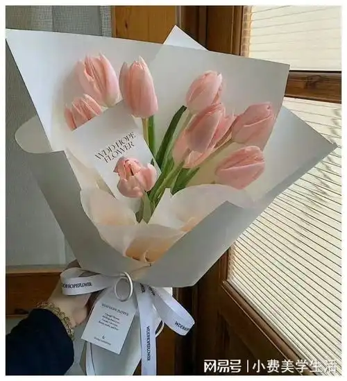 女生转运的一些小建议