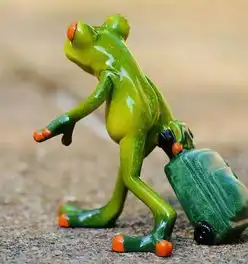 整理师分享有些事情还得找可靠的人商量