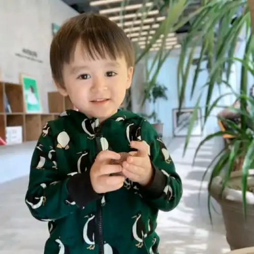 本特利图片整理3.0