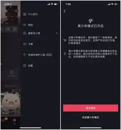 抖音快手上线青少年版使用限定不能超40分钟这些功能不可用