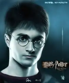 dlc个人手绘集哈利波特