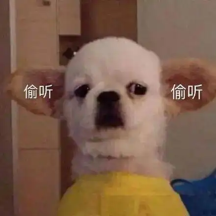 葛优养过猪宁静画过动画明星竟然还有这些不为人知的隐藏技能