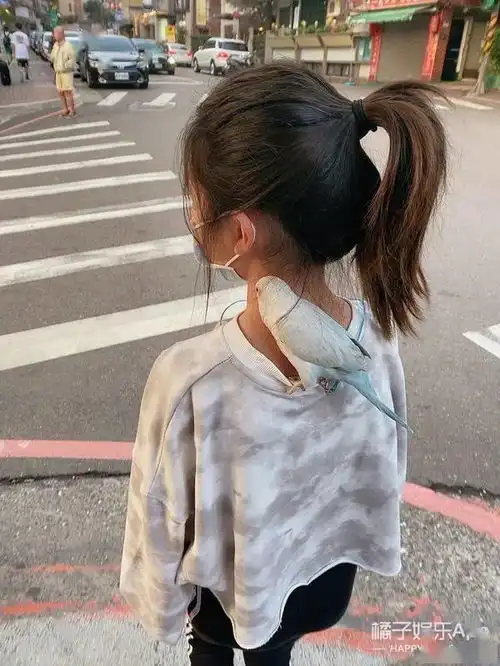 还记得爸爸去哪儿的grace吗她逆袭成长腿美女了