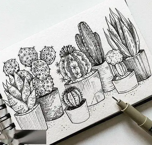 手绘黑白线条植物