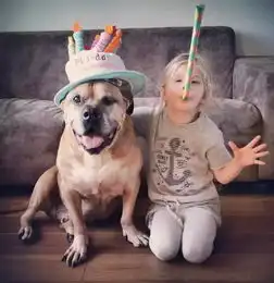 七夕狗子都在秀恩爱了,你还在玩手机