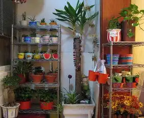 文艺大气小清新客厅阳台装修小技巧