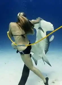 澳大利亚摄影师海底拍摄模特与鲨鱼同游合照