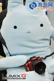 照亮前路的新星全国首发松下g1详测