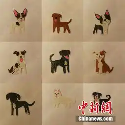 与病魔抗争9年,成都00后女孩剪出不一样的成语字典...