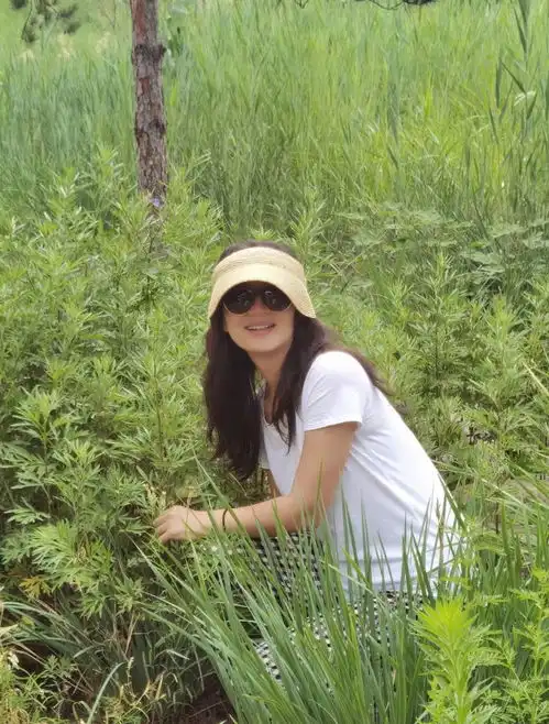 万人迷不是吹的,41岁陈红穿浅粉毛衣工作,扎低马尾优雅又知性