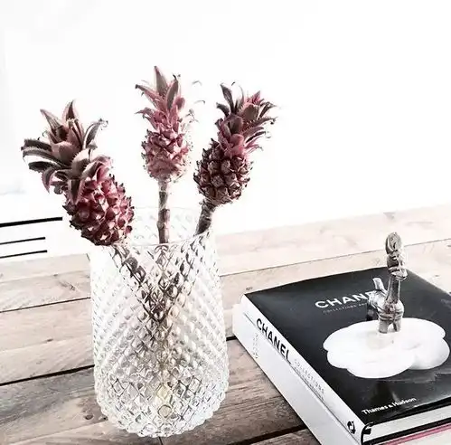 自带网红属性的花,炸裂你的少女心