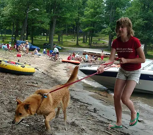 图说美国爱狗的美国人