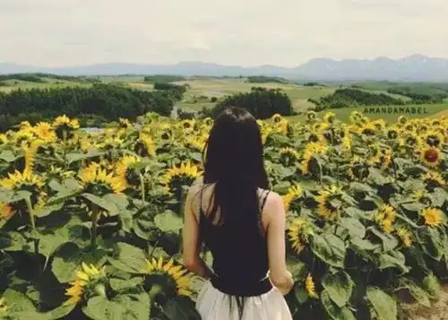 家庭聚会上,姑姑问我工资多少,刚想说1万4想了想还是说了6千