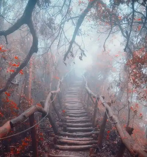 风雨人生路,用心走好每一步