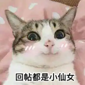 有没有小仙女用睫毛增长液有效的