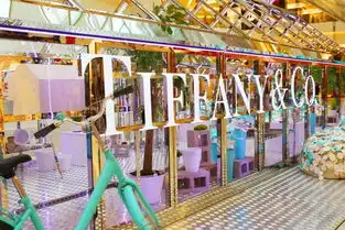 还剩七天tiffany花房秘境惊现国金中心解锁许魏洲同款背景墙