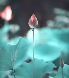 怎样才叫信值得深思