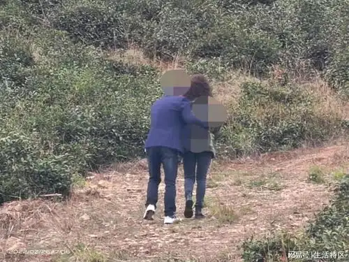 被春天气息迷醉的还有采茶的淑女,以及迸溅出的爱情