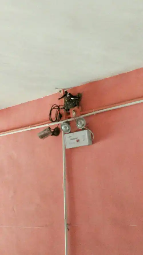 租的厂房从我们搬进来就一直有鸟巢,今天又有新驻的鸟巢燕子是吉祥预兆,会带来好运的吗