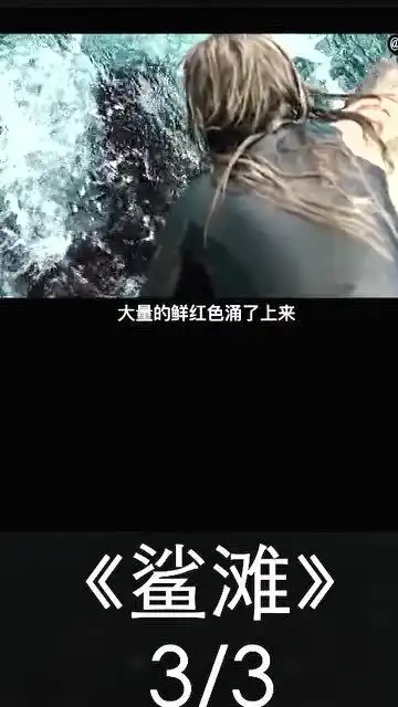 女孩误入大白鲨的进食区3