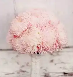 女孩子都拒绝不了的七夕礼物