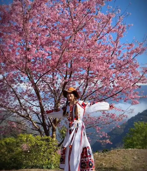 任家萱穿藏族连衣裙真美,扎两个麻花辫,头戴毡帽妥妥的异域美
