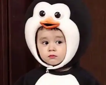 特别搞笑又吸引人的网名超级可爱搞怪网名大全