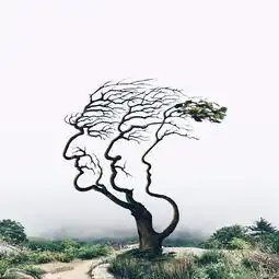 这ps技术不得不服画面简直太梦幻了